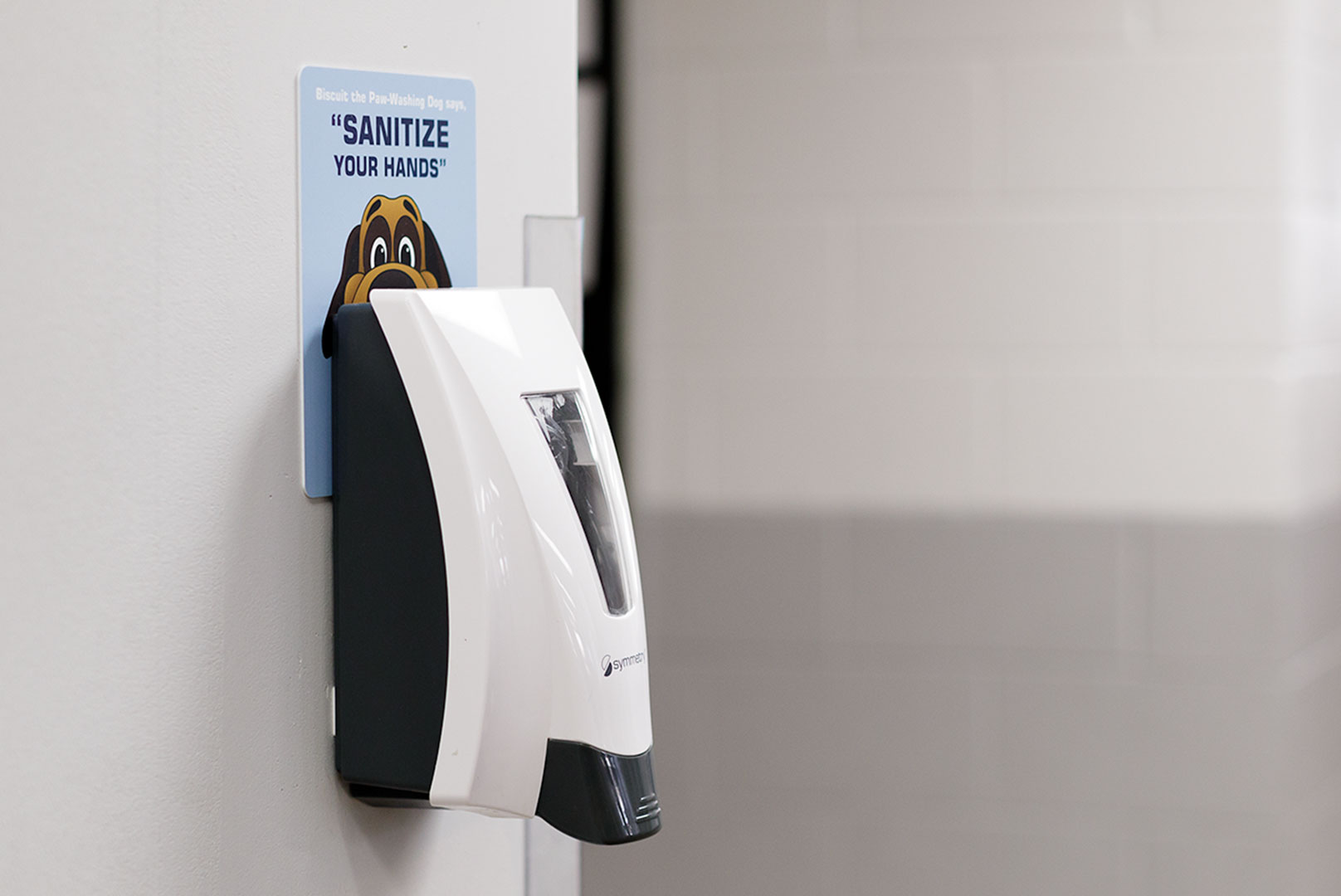 Symmetry Alpine Dispenser on Wall with Biscuit Behavior Modification